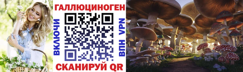 Псилоцибиновые грибы Cubensis  Уяр 